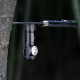 Taskulamppu Fenix LD15R, 500 lm - POISTUNUT Taskulamppu Fenix LD15R, 500 lm - POISTUNUT